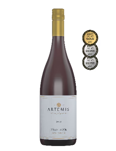 Pinot noir 2024